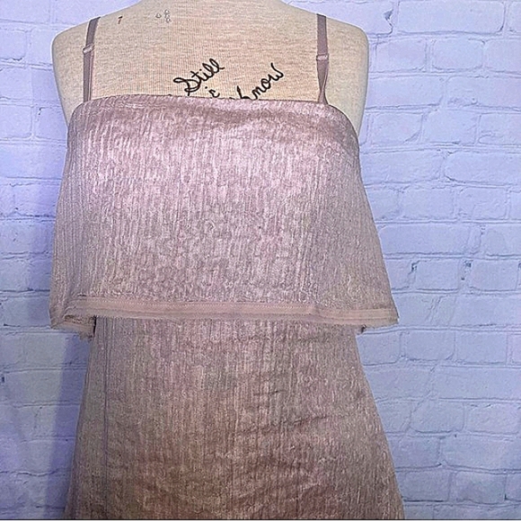 NWT BCBGeneration light mauve dress w sheer overlay - Picture 2 of 16